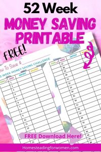 Free 52 Week Saving Money Planner Printable