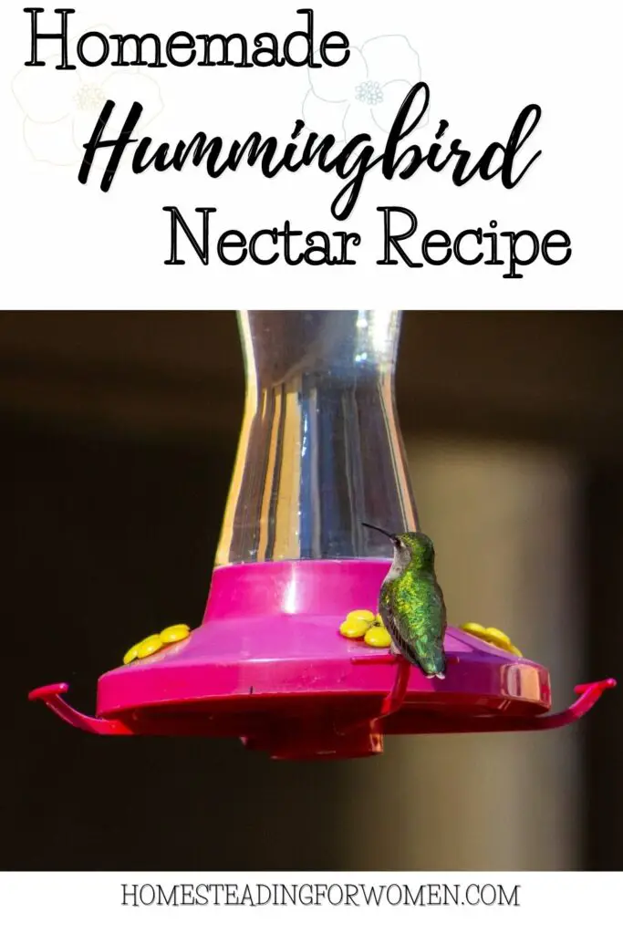 Homemade Hummingbird Nectar Recipe