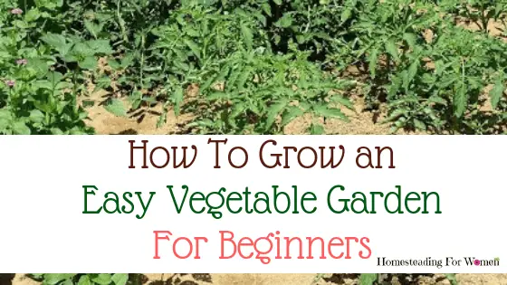 Vegetable Gardening for beginners (2)-min