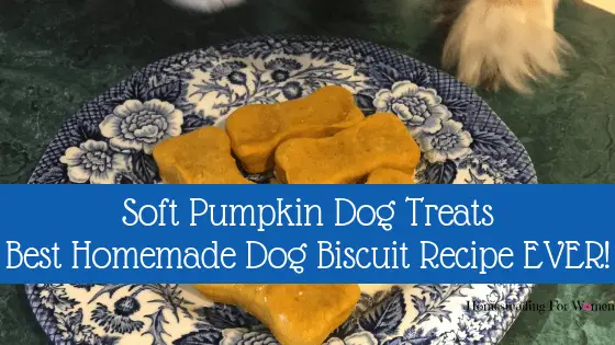 Soft pumpkin dog treats