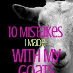 10 Mistakes I Made With My Goats on the farm