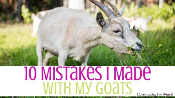 10 Mistakes I Made With My Goats