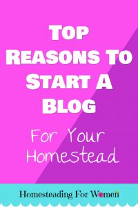 Top Reasons Why You Should Start A Blog For Your Homestead
