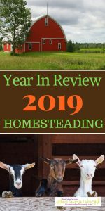 HOMESTEADING 2019 Year in review