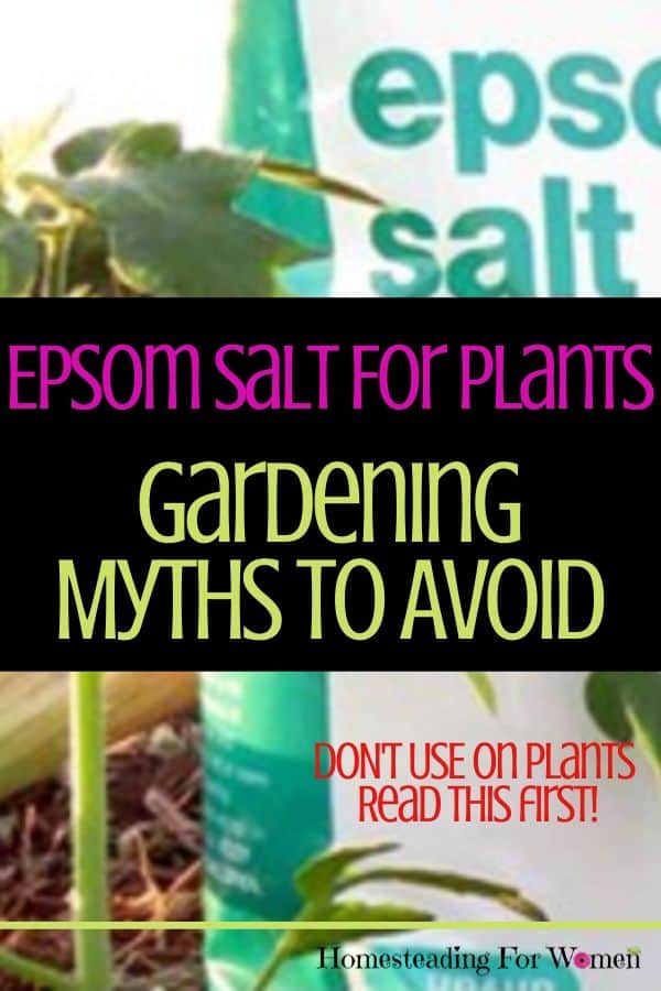 Epsom Salt For Plants Gardening Myths To Avoid Homesteadingforwomen