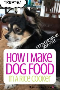 How I Make Dog Food In A Rice Cooker that my dogs love