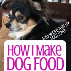 How I Make Dog Food In A Rice Cooker that my dogs love