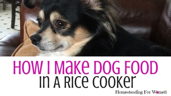 How I Make Dog Food In A Rice Cooker
