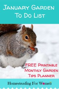 January Garden To Do List -Homestead Tasks