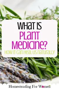 What Is Plant Medicine?