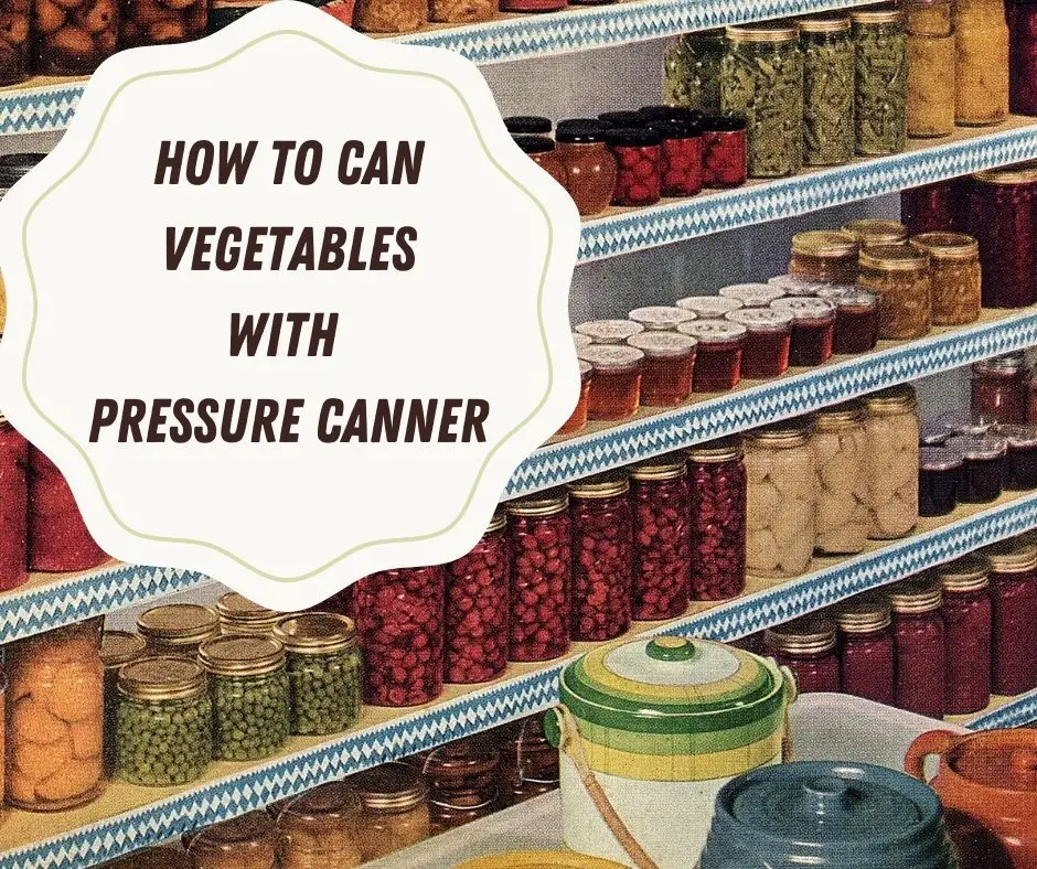 Canner for canning online vegetables