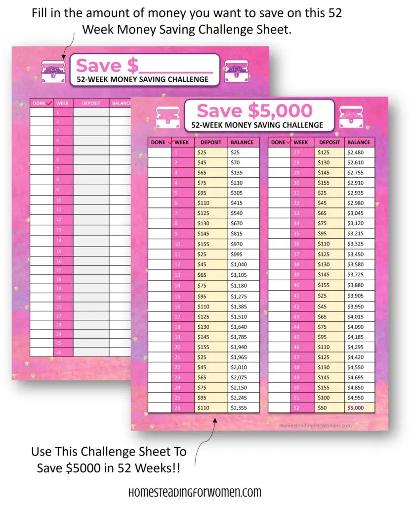 52 Week Money Saving Challenge Printable