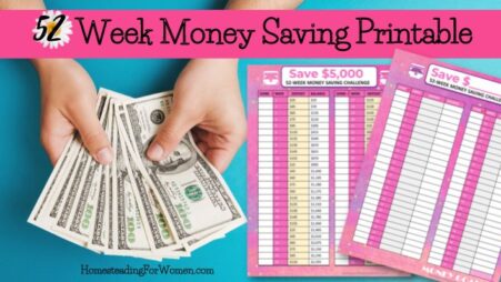 52 Week Money Saving Printable