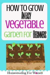 How To Grow An Easy Vegetable Garden For Beginners