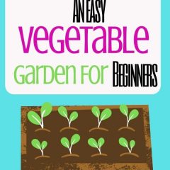 How To Grow An Easy Vegetable Garden For Beginners