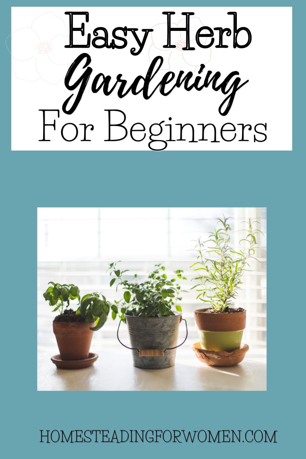 Easy Herb Gardening Beginners