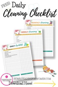 Free Daily Cleaning Checklist PDF