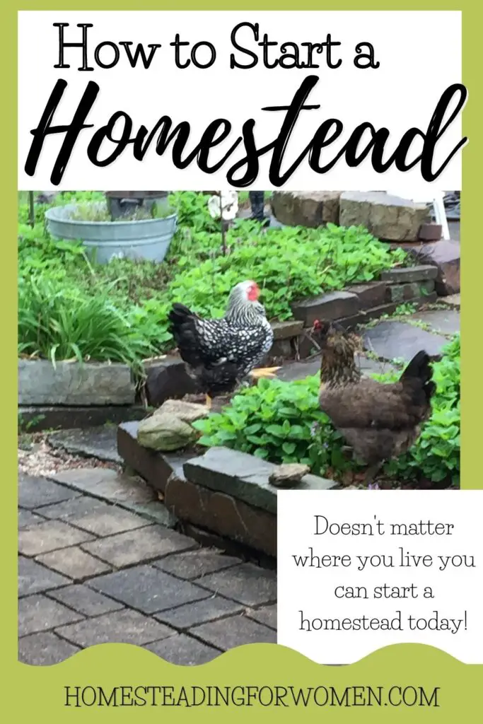 How to start a homestead
