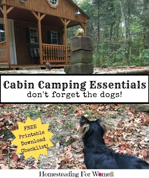 Cabin Camping Essentials Don't Forget The Dogs!