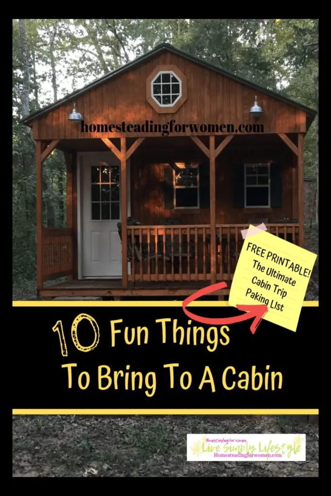 10 Fun things To Bring To A Cabin