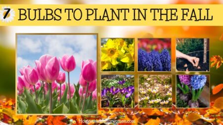 7 Bulbs To Plant In The Fall