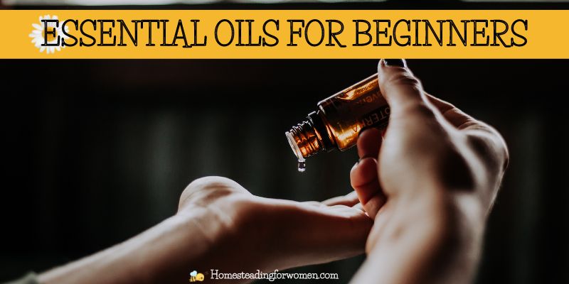 Essential Oils For Beginners Top