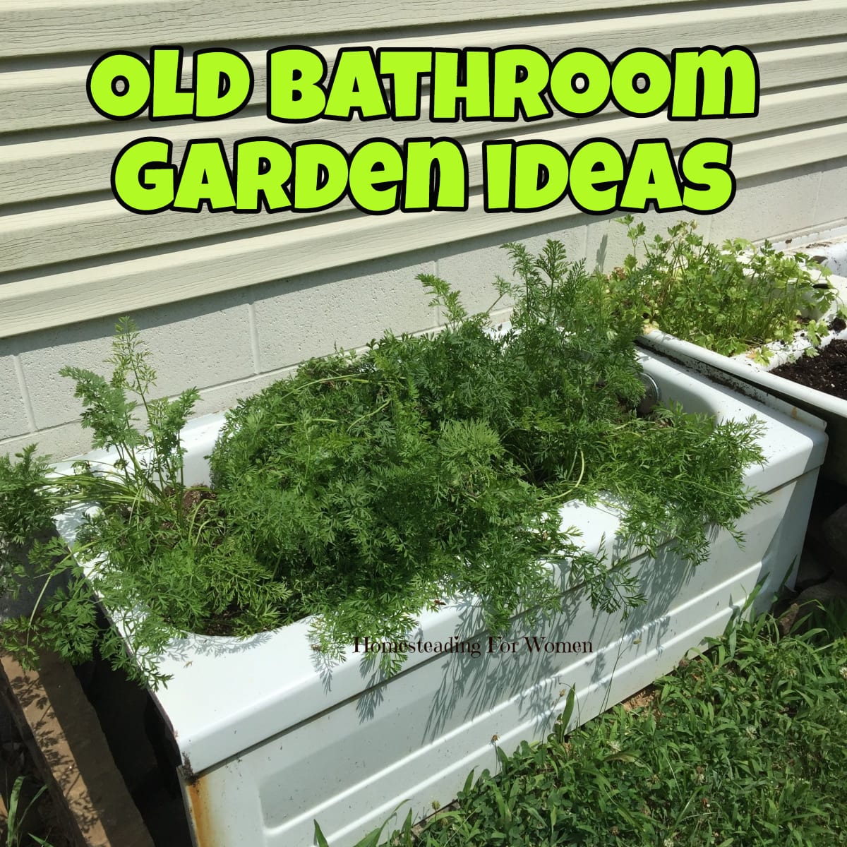 Old Bathroom Garden Ideas