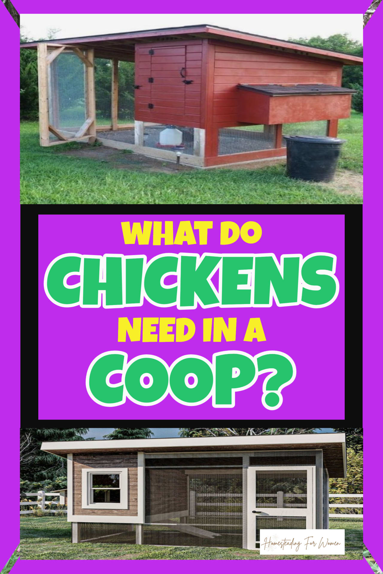 backyard-chickens-for-beginners-getting-started-guide