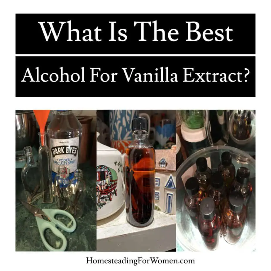 Best Alcohol For Vanilla Extract